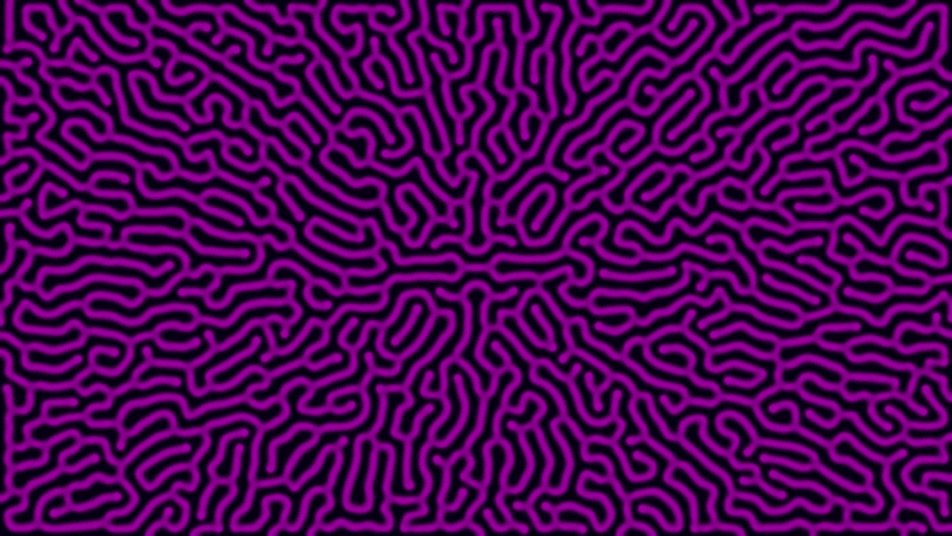Reaction Diffusion default output